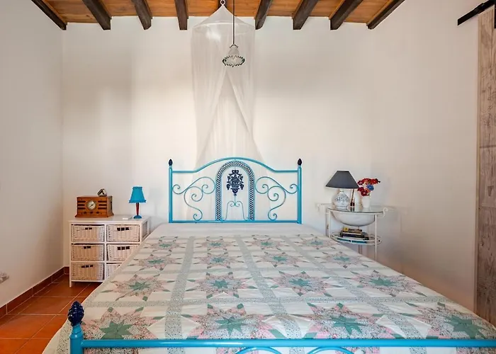 Casa Na Floresta